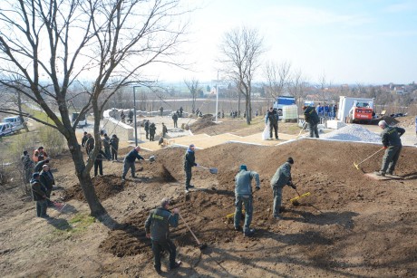 Több ezer tő növényt ültetnek el a napokban az Aranybulla környékén